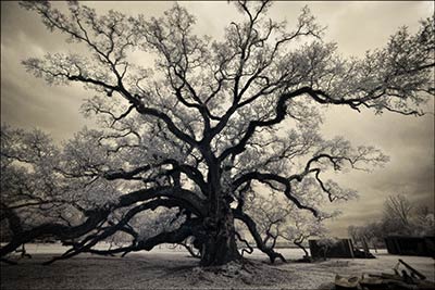 A photo by Antonio Calvache