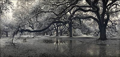 A photo by Antonio Calvache