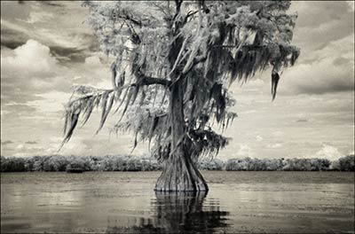 A photo by Antonio Calvache