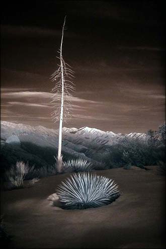 A photo by Antonio Calvache