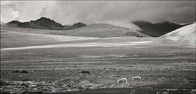 A photo by Antonio Calvache