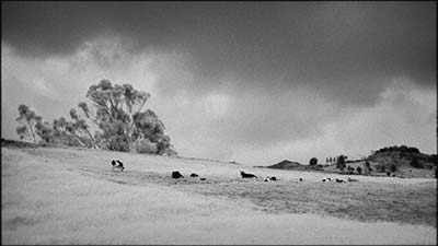 A photo by Antonio Calvache